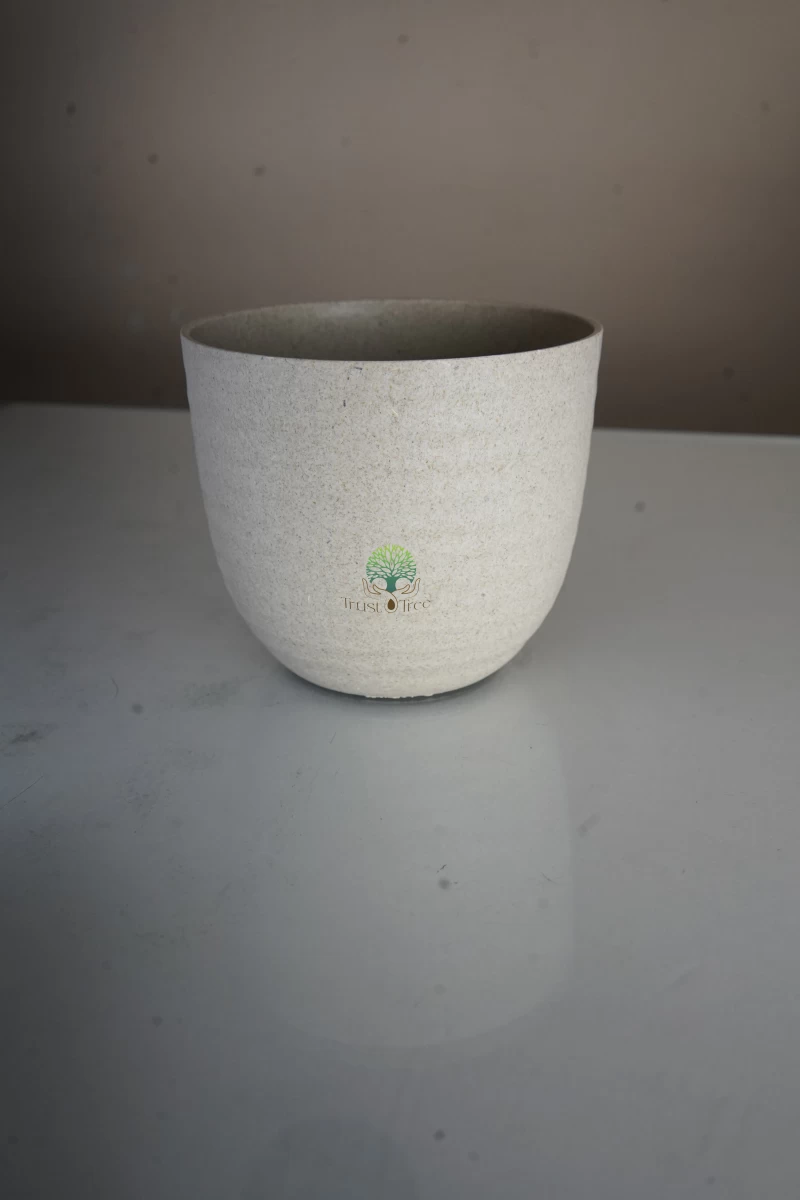 VERONA ECO MOCCA 2